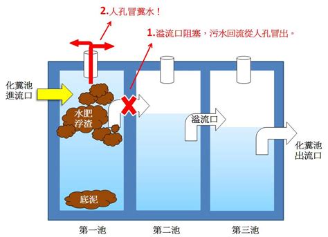 化糞池在哪|家中化糞池探秘